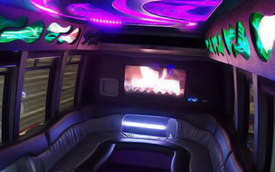 Inside a 20 Passenger Party Bus from our Party Bus Rentals
